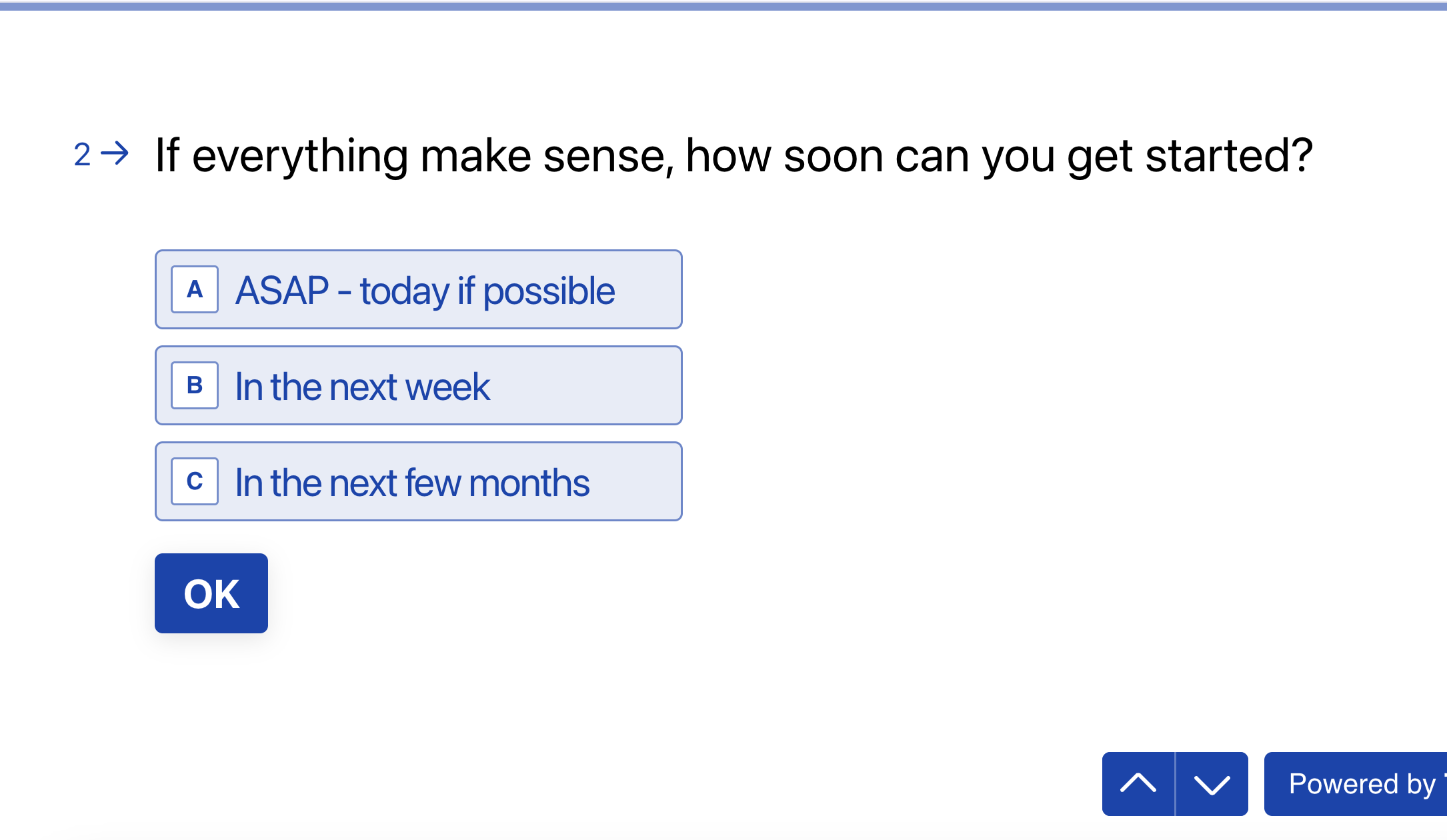 Typeform Style Preview